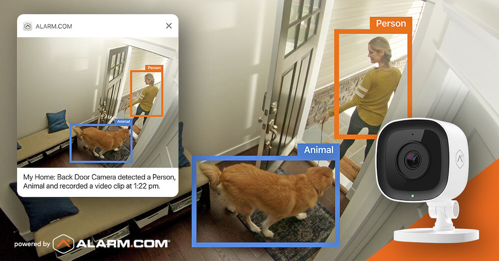 A security camera identifies a person and a dog in a house. An app notification on a digital screen shows the detections with labeled bounding boxes.