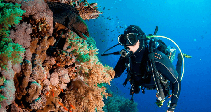 A person is scuba diving near a coral reef, observing a moray eel. They are equipped with a full diving suit, fins, and an oxygen tank.