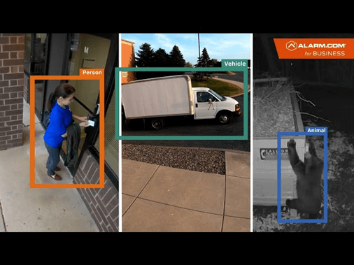 The image shows a surveillance system interface with three frames highlighting a person, a vehicle, and an animal, each outlined and labeled accordingly.