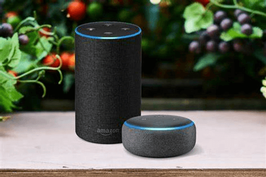 The image shows two Amazon Echo smart speakers, a larger cylindrical one, and a smaller puck-shaped one, displayed on a wooden surface with plants in the background.